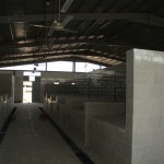 DSC01906