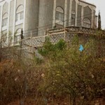 DSC02800 (2)